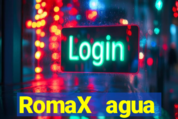 RomaX agua sanitaria fispq agua sanitaria romax